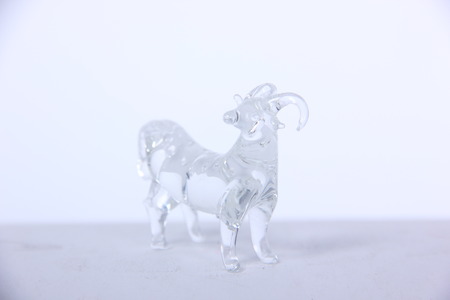 Crystal Sheepの写真素材