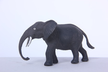 Elephantの写真素材