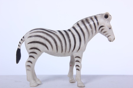 Zebraの写真素材