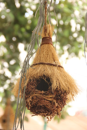 bird houseの写真素材