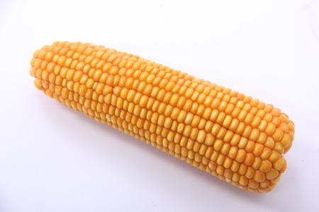 cornの写真素材