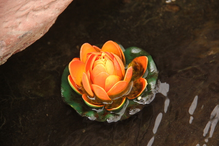 Flowerの写真素材