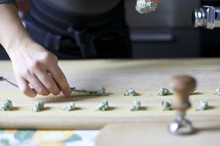 housewife puts the filling on the dough sheet, she is making tortelli, a traditional pasta of Piacenza, north Italyの写真素材