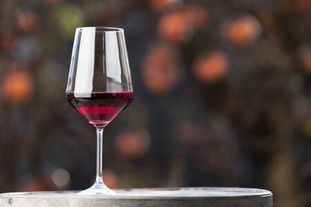 outdoor horizontal shot of a glass of red wine with a khaki tree behind at sunsetの写真素材