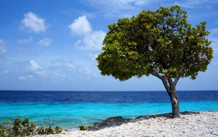 oceanviewの写真素材