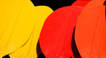 Colors in the oarsの写真素材