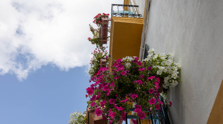 Flower boxes hanging above a balcony railing in Ibiza Town.の写真素材