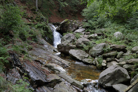 A creek and its waterfall in pine, firs and broadleaf forest in the mountains of Vigezzo Valley, northern Italy Alpsの写真素材