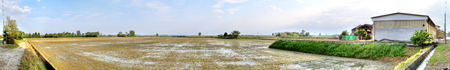 A landscape of typical Italian paddy fields, with green rice sprouts submerged into water provided by a small stream next to a modern farm in Galliate, a small town in Piemonte region, Italyの写真素材