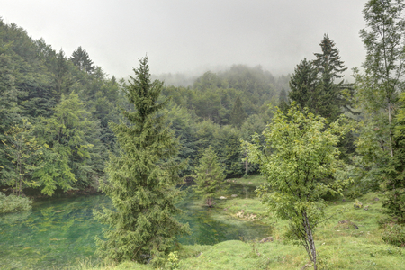 A small green lake in the Montagnole Basse mountains, in the Italian Alps, just after rain, with thick clouds, wet grass and trees.の写真素材