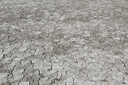 Dry cracked grey clay soil shot in perspective during a hot sunny day in the Mediano artifical lake in the Spanish Aragonese Pyreneesの写真素材