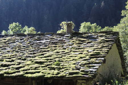 A typical rural lodge roof made with moss and lichens covered tiles during a sunny summer in the Piedmont Alps mountains, Italyの写真素材
