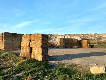 Straw bales next to an agricultural warehouse and a plowed field, with low scarp on the background...