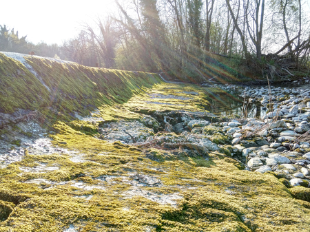 The Naviglio Langosco artifical canal dyke during spring at sunser, with moss, pebbles and puddles in backlight, in Ticino reserve, Galliate, Italyの写真素材