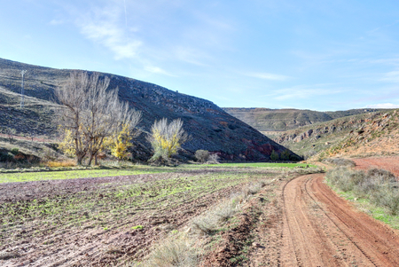 An unpaved brown path going into the Aragonese countryside hills, with bare trees and green fields, in a sunny autumn, around Monterde town, Spainの写真素材