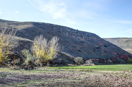 A landscape of the Aragonese countryside hills, with bare trees and green fields, in a sunny autumn, around Monterde town, Spainの写真素材