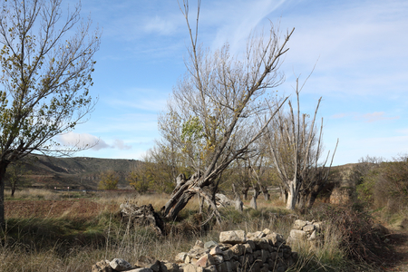 A landscape of the Aragonese countryside hills, with bare trees and green fields, in a sunny autumn, around Monterde town, Spainの写真素材