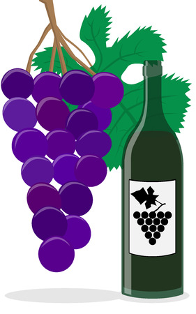 Illustration  vector  of a wine bottle and grapes のイラスト素材