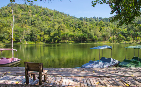 Rental paddle boat at parkの写真素材