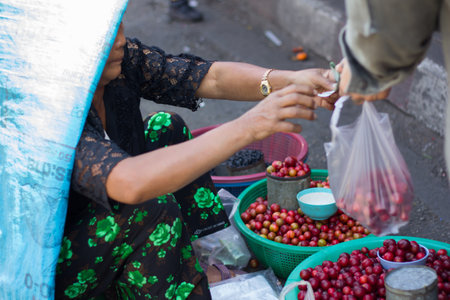 Chiang Mai, Thailand - Feb 2, 2014: Villager sell cherries to customer in Chiang Mai marketのeditorial素材