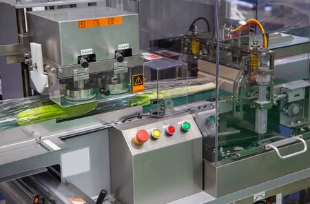 Automatic vegetable and fruit flow pillow packing machine