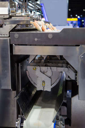 Automatic meat weight sorting machine in food industry