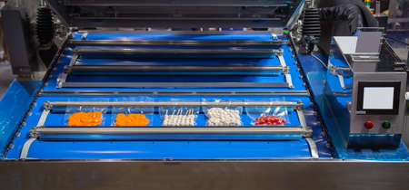 Vacuum heat sealing machine for food package