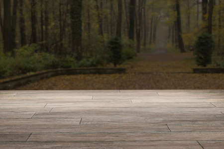 Empty old wooden tabletop. Copy space with background landscape of forest in fall season