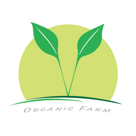 Organic farming business template  . Agriculture company symbol. Vector illustration branding design.のイラスト素材