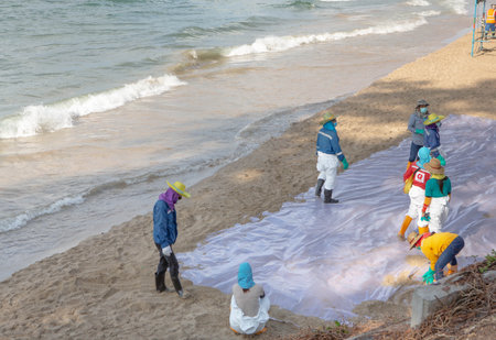 Rayong, Thailand - February 1, 2022: Volunteers cleaning sea shore from the oil spill incidents in Rayong beach.のeditorial素材