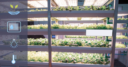 Hydroponics system. Vegetable grow with artificial LED lighting in indoor vertical gardening. Hydroponic illustration symbols.の写真素材