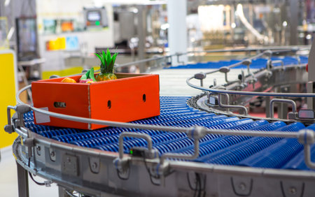 Package of fruits on conveyor. Packing fruits in box container in production line.