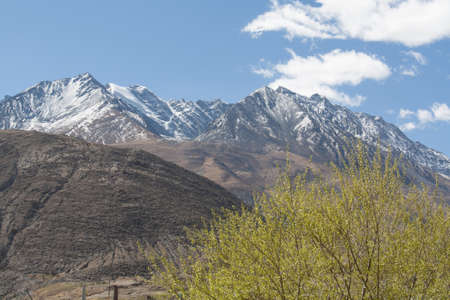 Mountain in Tibetの写真素材