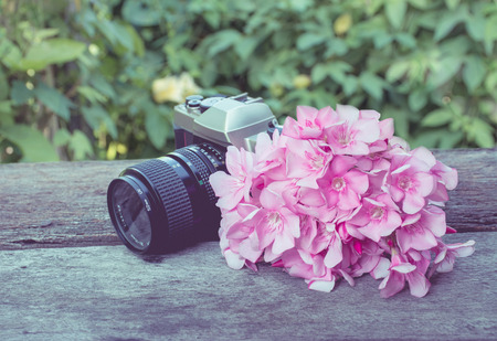 spring flowers and vintage camera on wooden background
