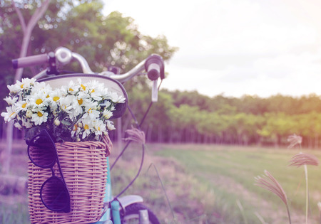 sunset with green retro bicycle with basket and white flowersの写真素材