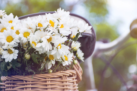 retro bicycle with basket and white flowers on grass with Soft Focus Color Filtered backgroundの写真素材