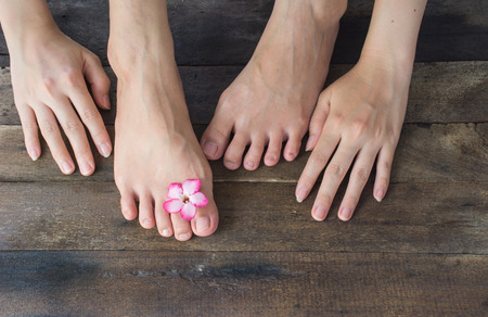 Beautiful female hands and feet on wood background