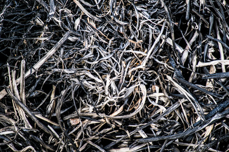 Ash from burning grass fieldsの写真素材