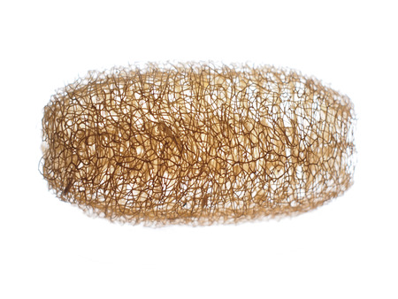 Zucchini for bath    の写真素材