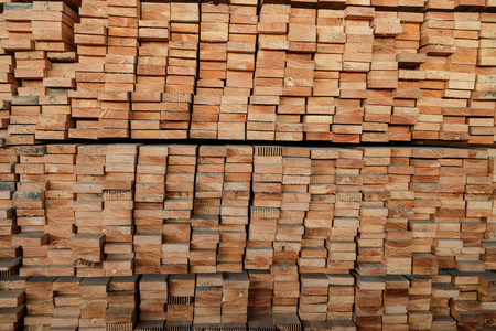 Timber piles for making furniture. When looking at the head looks pretty good.の写真素材