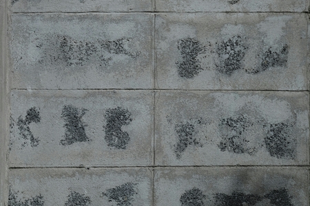 Bare brick wall.の写真素材