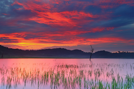 Dramatic burning sky with red clouds over the lake in the countryside after sunrise, Eastern of Thailandの写真素材