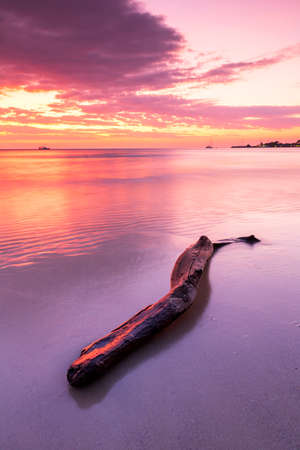 Silhouette of a stump beautiful dramatic sky and beautiful sunset in beach at Ko Chang Island (Koh Chang), Trat Province, Thailandの写真素材