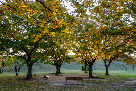 Bench in Tumuli park royal tomb under foliage before sunsetの写真素材