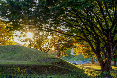 Tumuli royal tomb in autumn foliage backgroung at sunset . Gyeongju, South Koreaの写真素材