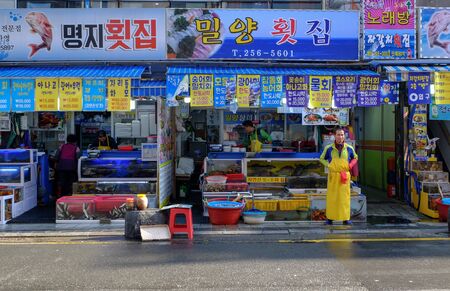 Jagalchi Fish Market, Busan City Korea 3 November 2017 :Jagalchi Fish Market is a representative fish market and a tourist destination in Busan. Many tourists visit Jagalchi Fish Market every year.のeditorial素材