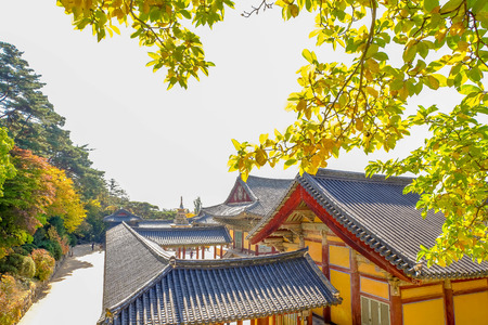 Bulguksa temple in autumn, Gyeongju, Koreaのeditorial素材