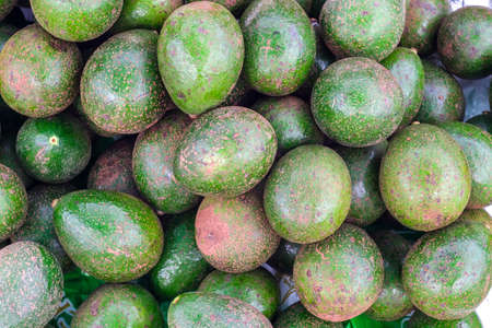 Fresh tropical avocado fruit close up good for backgroundの写真素材