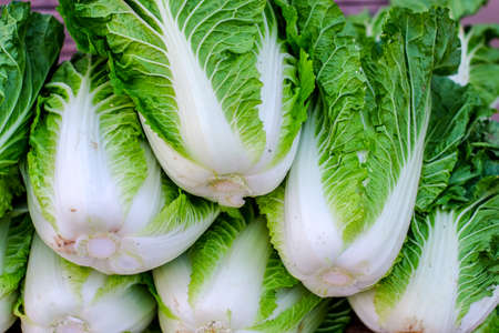 Chinese cabbages display on sale in the food market.の写真素材