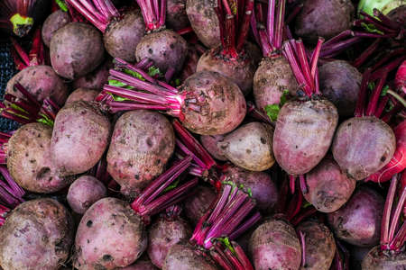 Fresh beetroots display on sell in the market.の写真素材